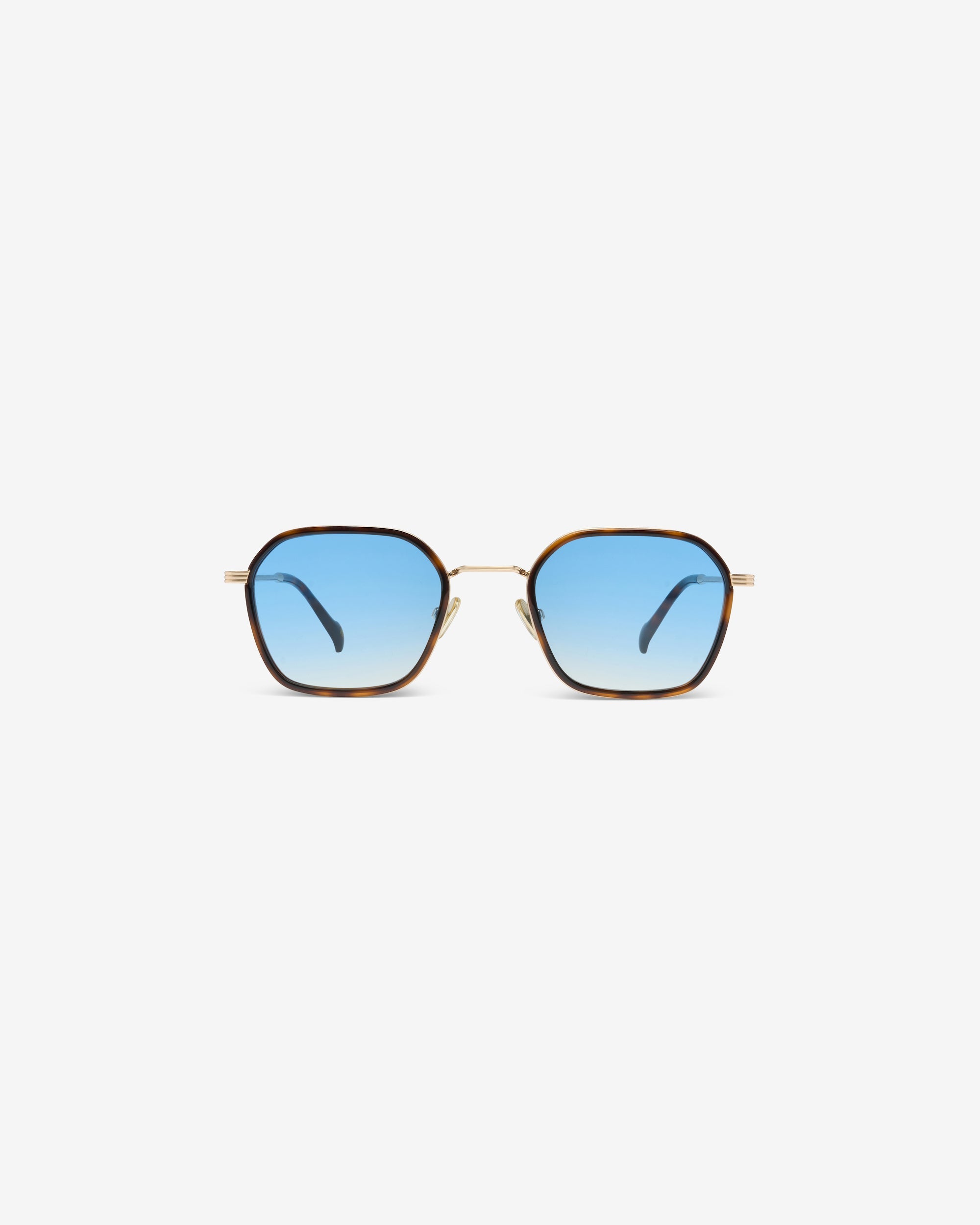 Taylor Écaille Bleu – Lunettes de Soleil Unisexe, Forme Pantos