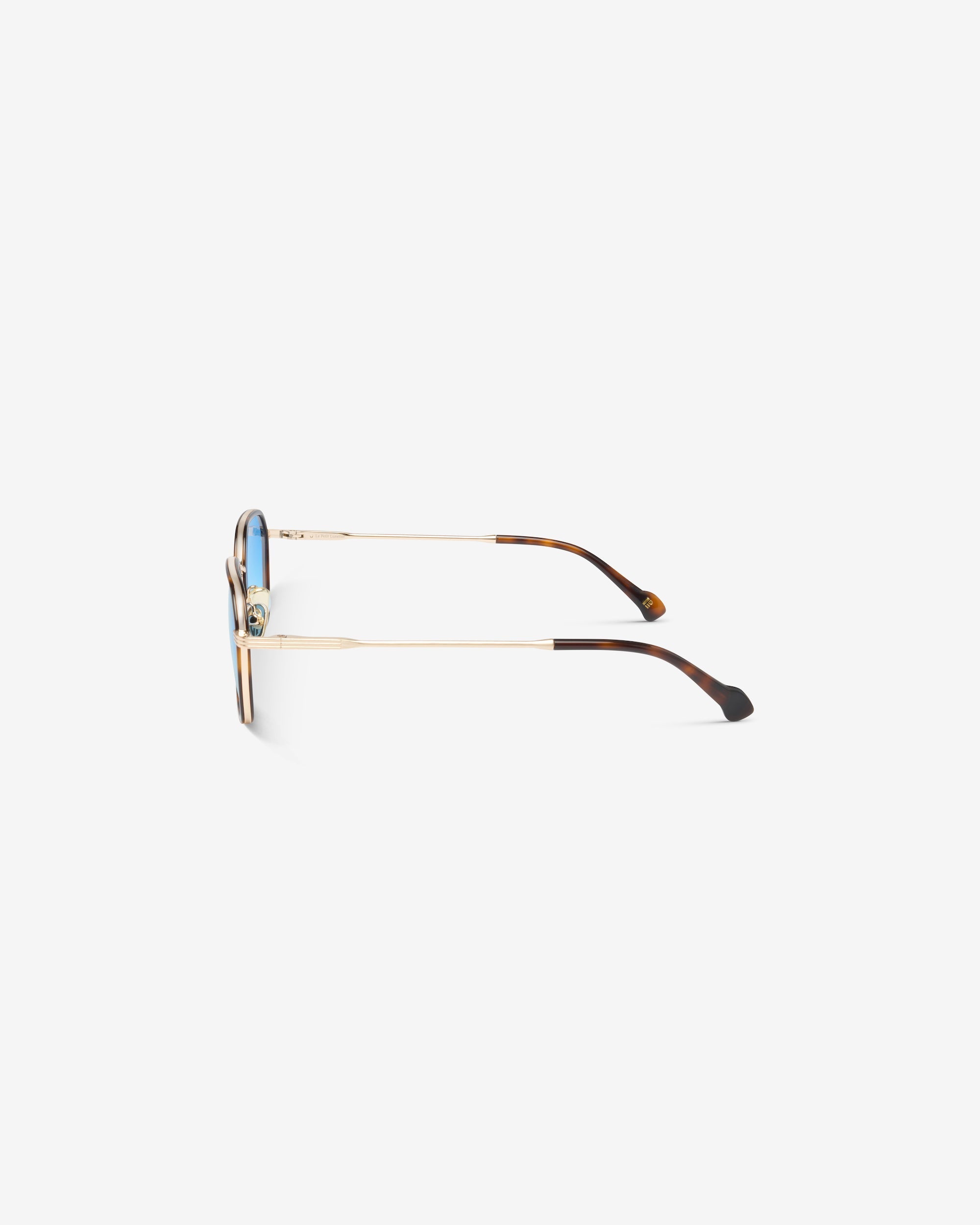 Taylor Écaille Bleu – Lunettes de Soleil Unisexe, Forme Pantos
